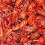 400px-Lots_of_crawfish